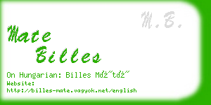 mate billes business card